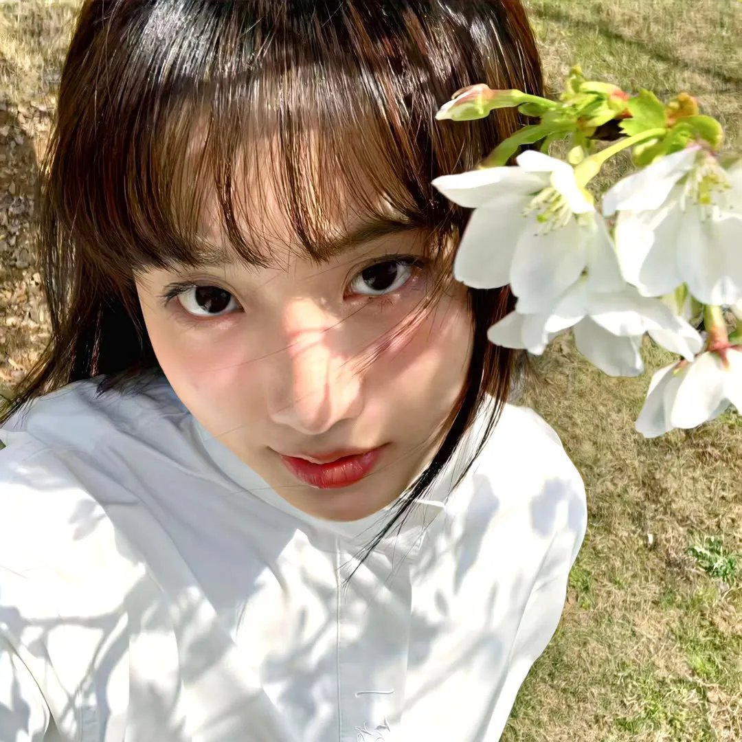 团子大家族 剧场版